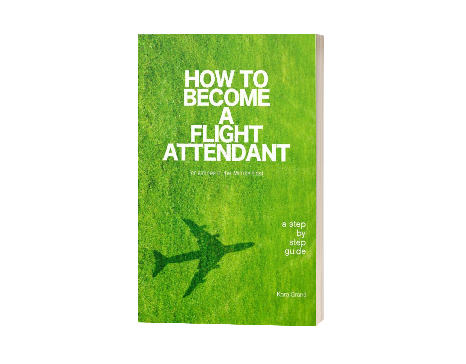 How to become a flight attendant ebook